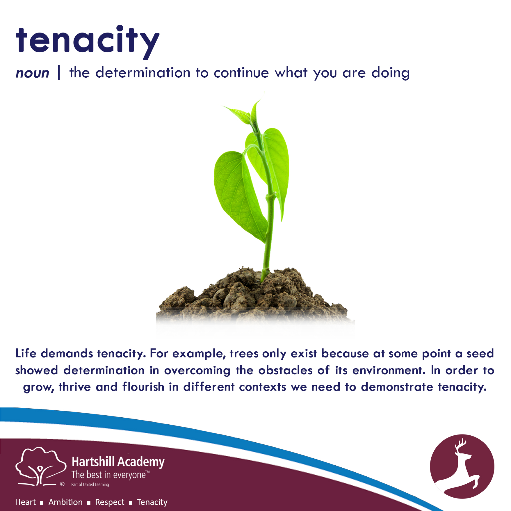 Tenacity